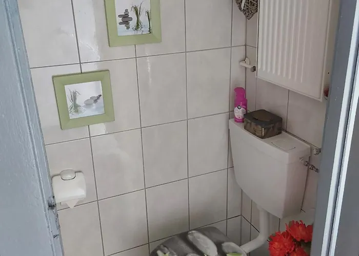 Scheper Bad Frankenhausen